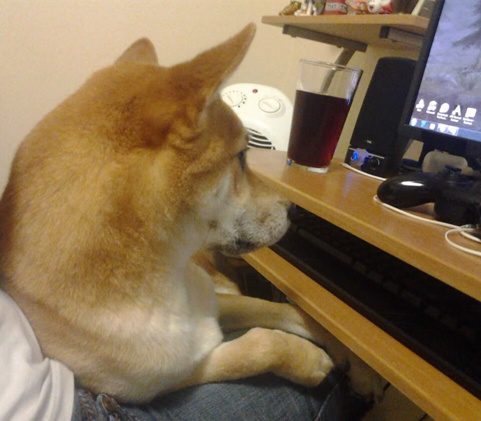 9游游戏官网-【平局加时赛】延长赛中的战术调整与规则漏洞，加时赛时长