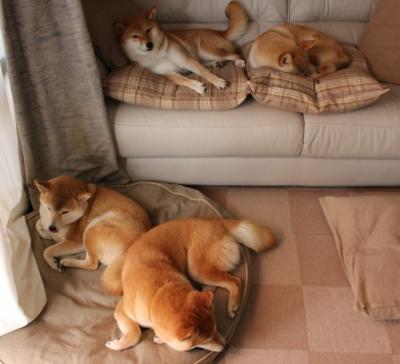 冰面带球狂奔60米，伊朗10号球员一战封神，伊朗3号人物